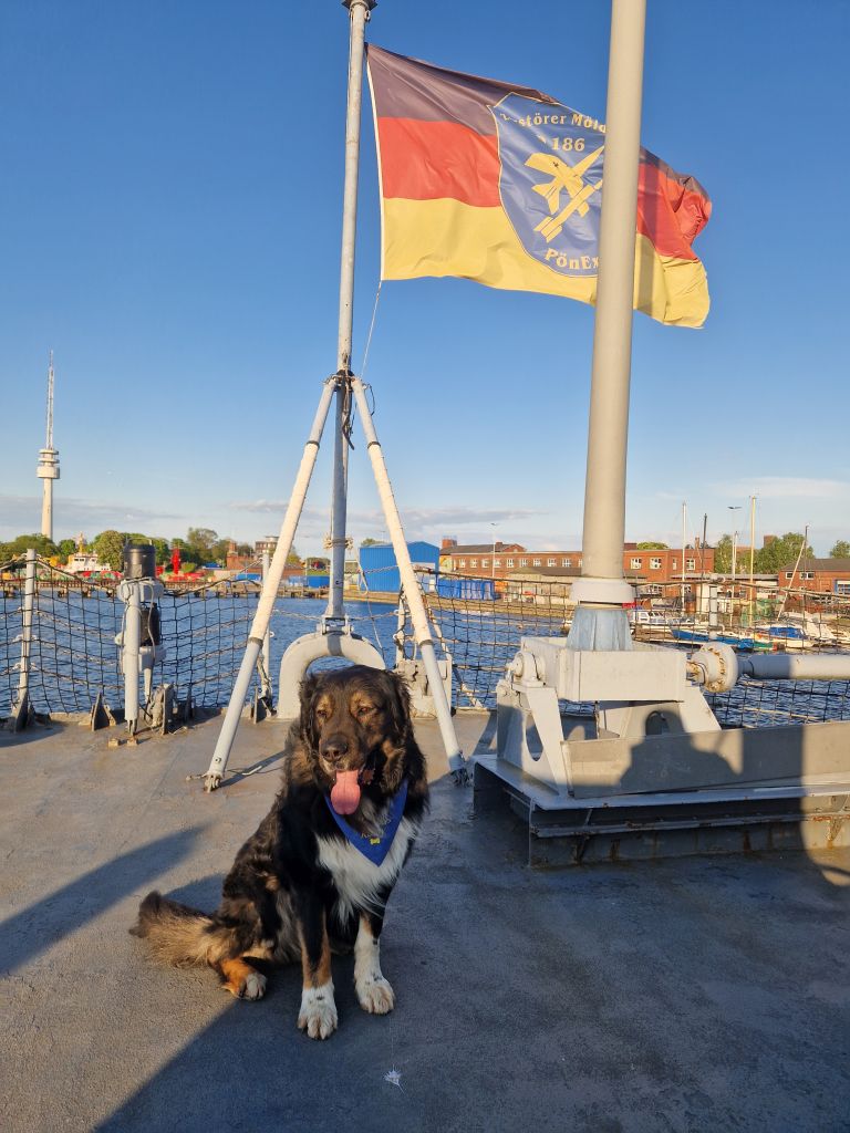 Bordhund Rocky auf der Schanz der Mölders!